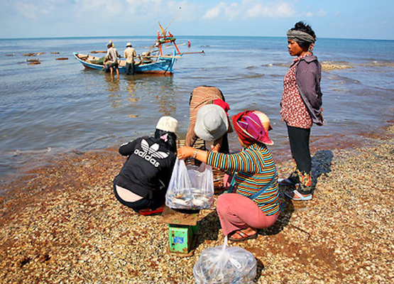Kep Population